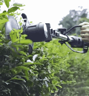 1760492269385222.gif 1760492269385222.gif