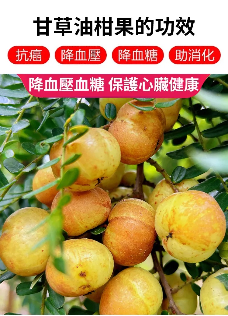 1760579334991682.jpg imgi_11_6230e948461ee878d46731ef4f05319963107111833501007284999TW27bcc763cbf68023868583b1ba784089b.jpg