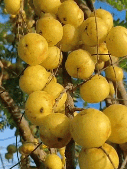 1760579347752481.gif 1760579347752481.gif